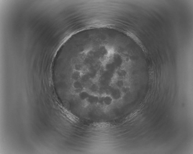 X0000061731023200512161616