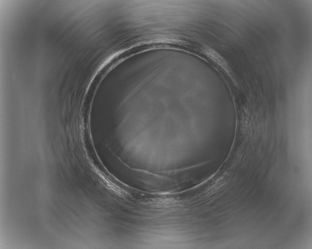 X0000061731024200512161616