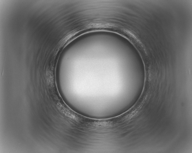 X0000061731025200512161617