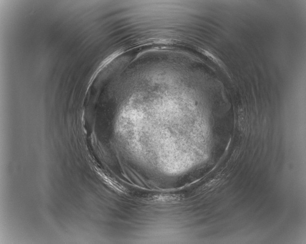 X0000061731026200512161617