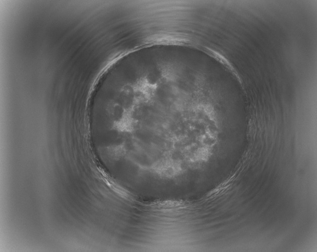 X0000061731027200512161617