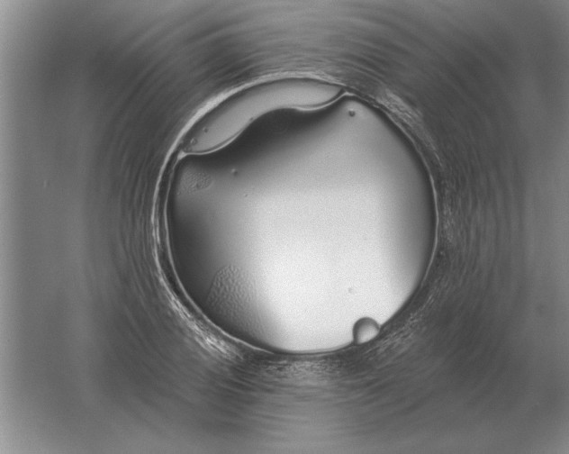 X0000061731028200512161617