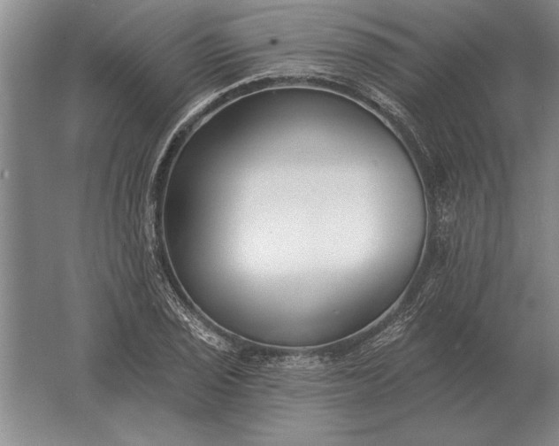 X0000061731029200512161617