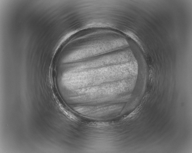 X0000061731030200512161617