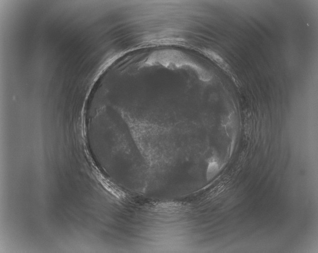 X0000061731031200512161617