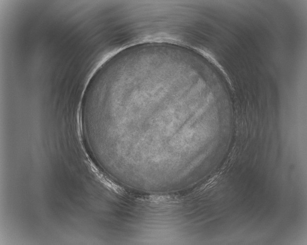 X0000061731032200512161617