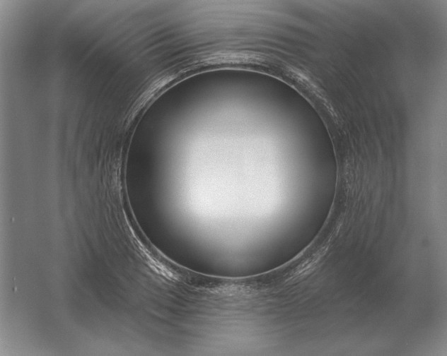 X0000061731033200512161617