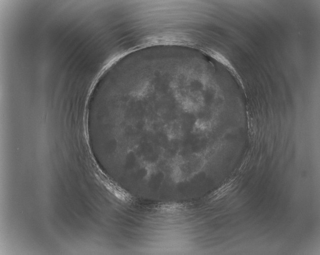 X0000061731035200512161617