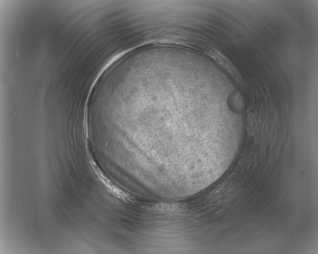 X0000061731036200512161617