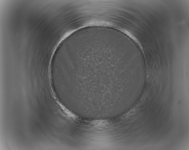 X0000061731037200512161617