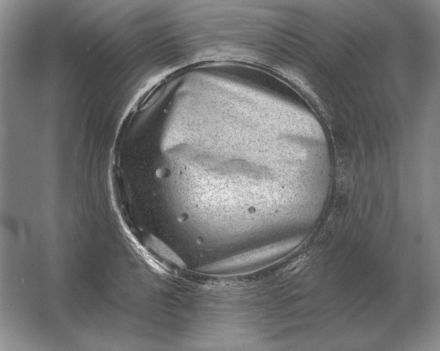 X0000061731040200512161617