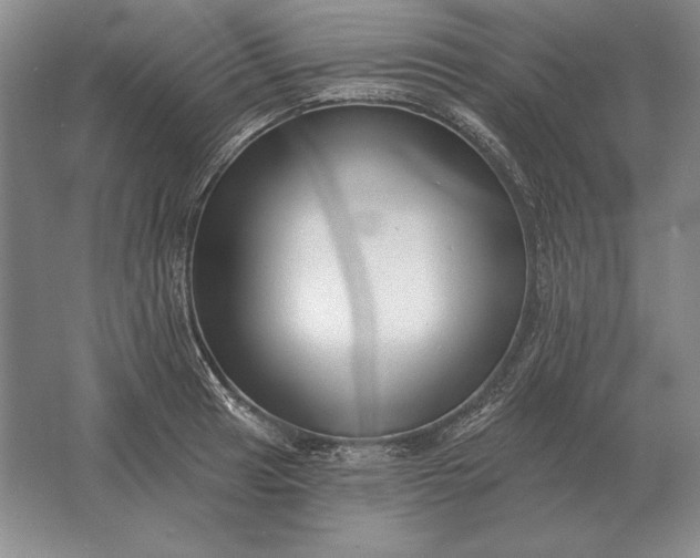 X0000061731041200512161617