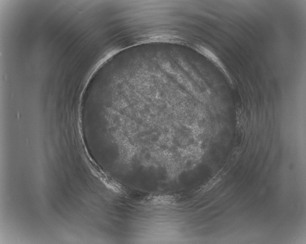 X0000061731043200512161617