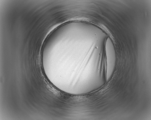 X0000061731044200512161617