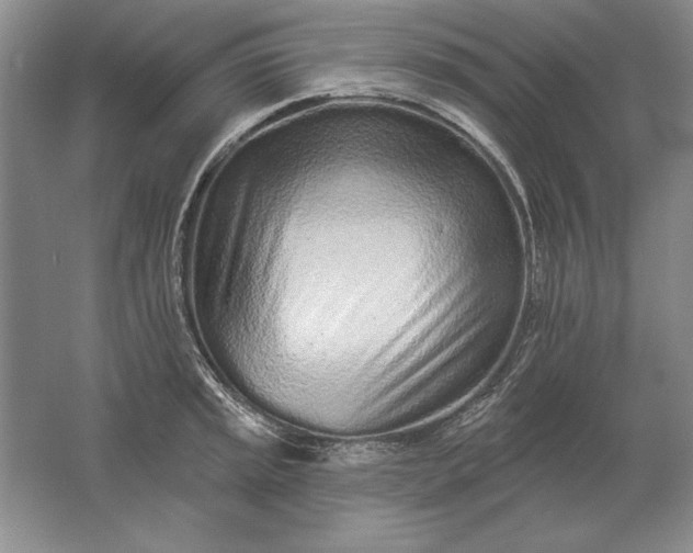 X0000061731045200512161617