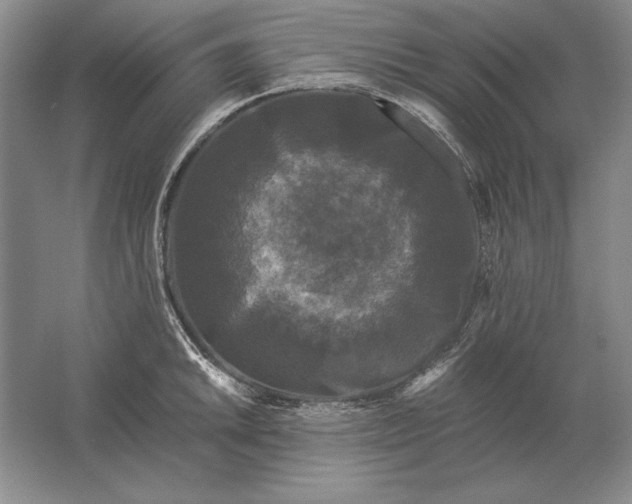 X0000061731046200512161617