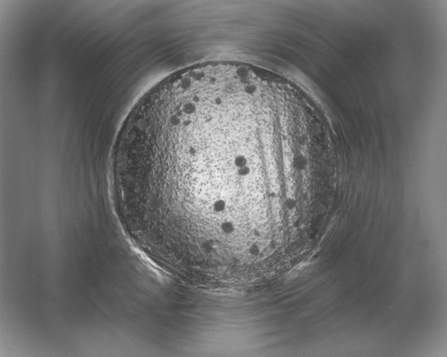 X0000061731048200512161617