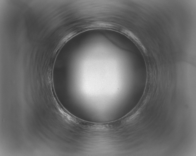 X0000061731049200512161617