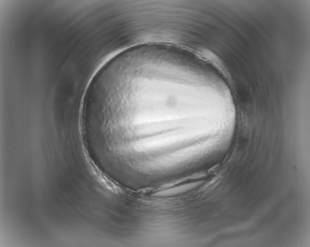 X0000061731052200512161617