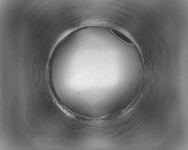 X0000061731053200512161617