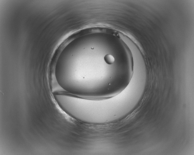 X0000061731054200512161617