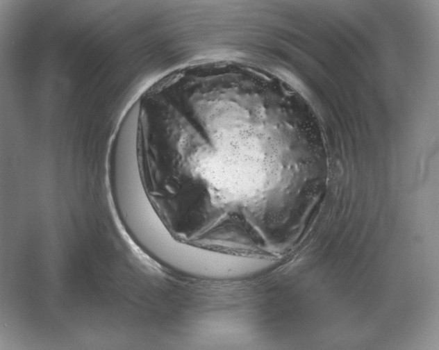 X0000061731055200512161617