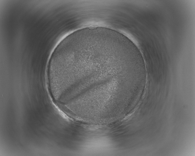 X0000061731056200512161617