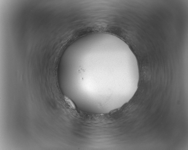 X0000061731057200512161616