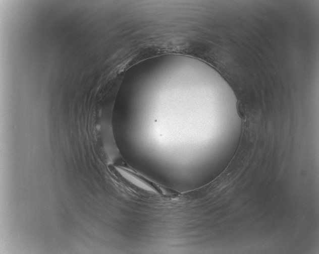 X0000061731058200512161616