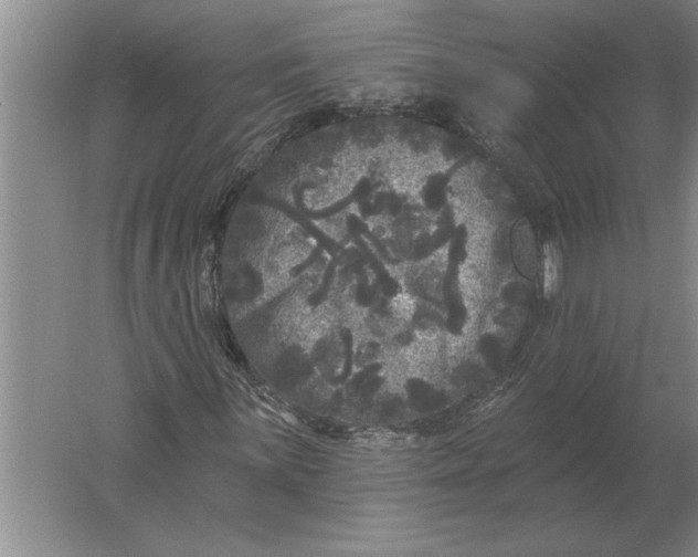 X0000061731059200512161616