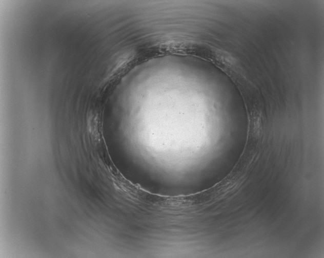 X0000061731060200512161616