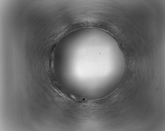 X0000061731061200512161616