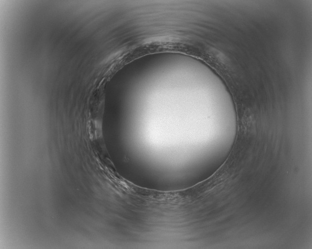 X0000061731062200512161616