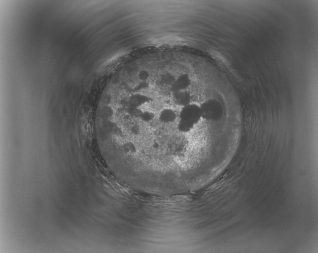 X0000061731063200512161616