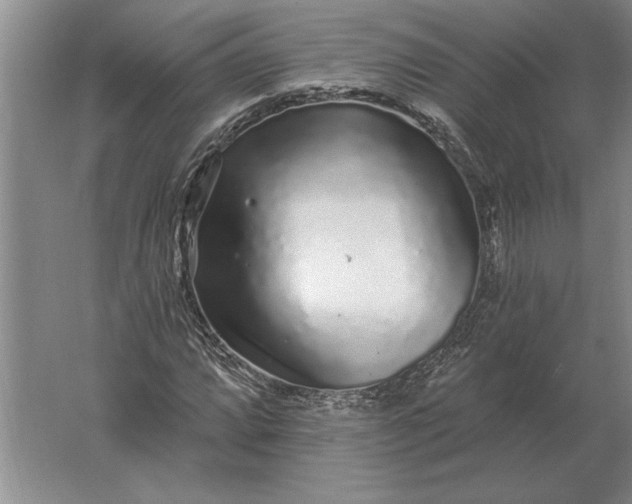 X0000061731064200512161616