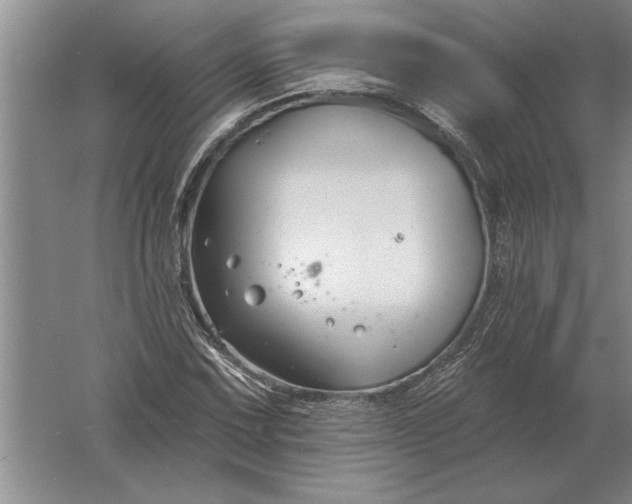 X0000061731067200512161616