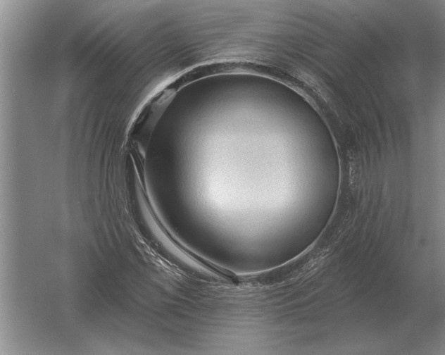 X0000061731069200512161616