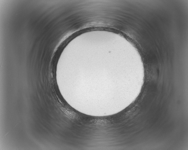 X0000061731070200512161616