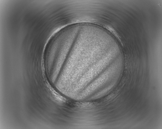 X0000061731072200512161616