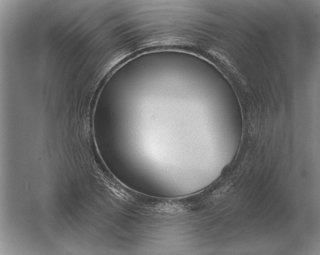 X0000061731073200512161616