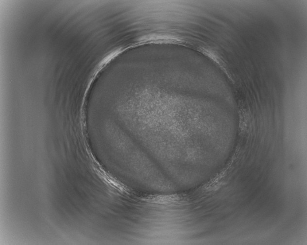 X0000061731074200512161616