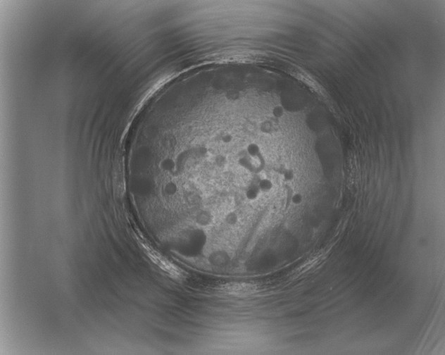 X0000061731075200512161616