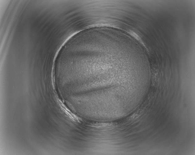 X0000061731076200512161616