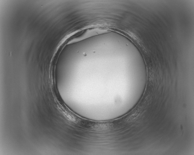 X0000061731078200512161616