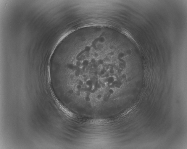 X0000061731079200512161616