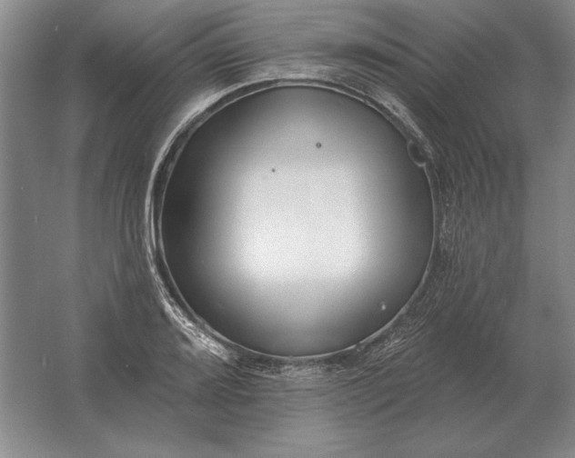 X0000061731080200512161616