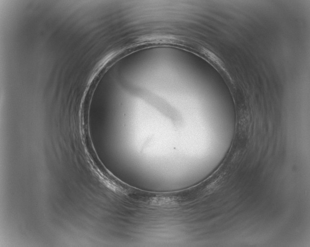 X0000061731082200512161616