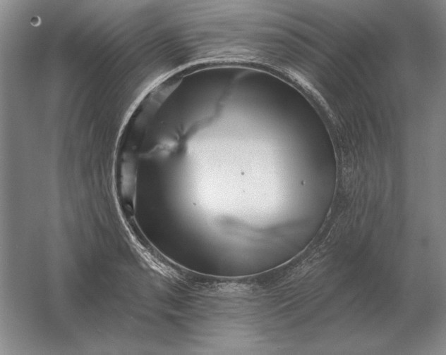 X0000061731085200512161616