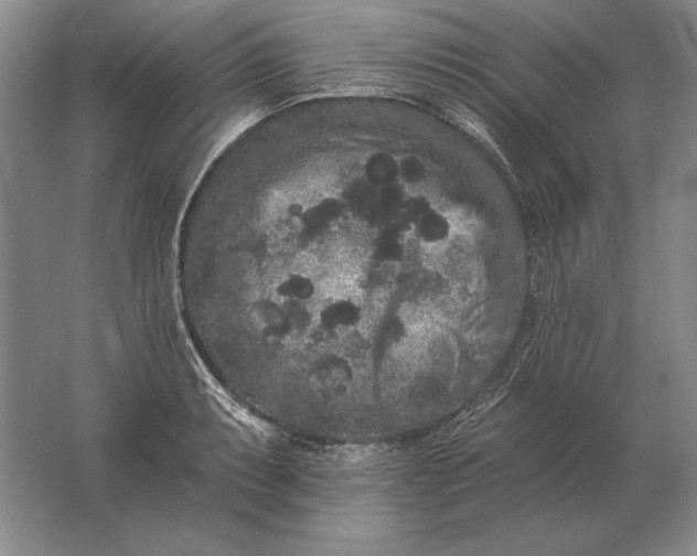 X0000061731087200512161616