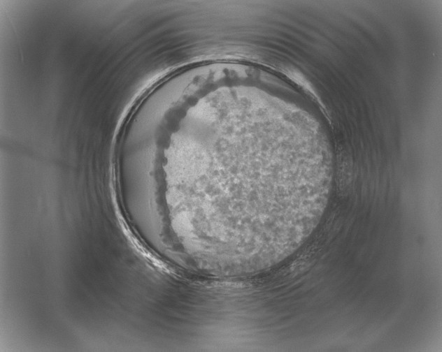 X0000061731088200512161616